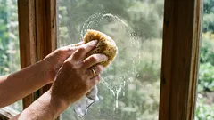 Hyönteisverkko on kuin uusi 10 minuutissa: helppo tapa puhdistaa se nopeasti kotona löytyvillä välineillä