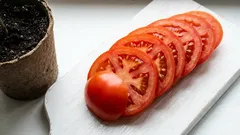 Vain yksi tomaatti omaan satoon: tämä ovela temppu supermarketista auttaa sinua saavuttamaan tämän keväällä