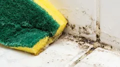 Tämä maitojuoma poistaa homejäljet hetkessä.