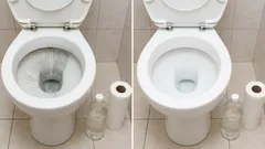 WC-paperirulla ja etikka: helppo tapa poistaa kalkkikertymät WC-istuimesta ja palauttaa sen alkuperäinen ulkonäkö.